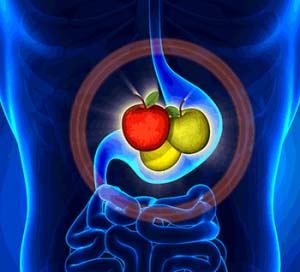 Nutrient dense foods in stomach.