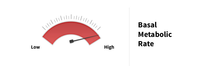 Basal Metabolic Rate