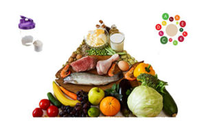 Gastric sleeve food pyramid.
